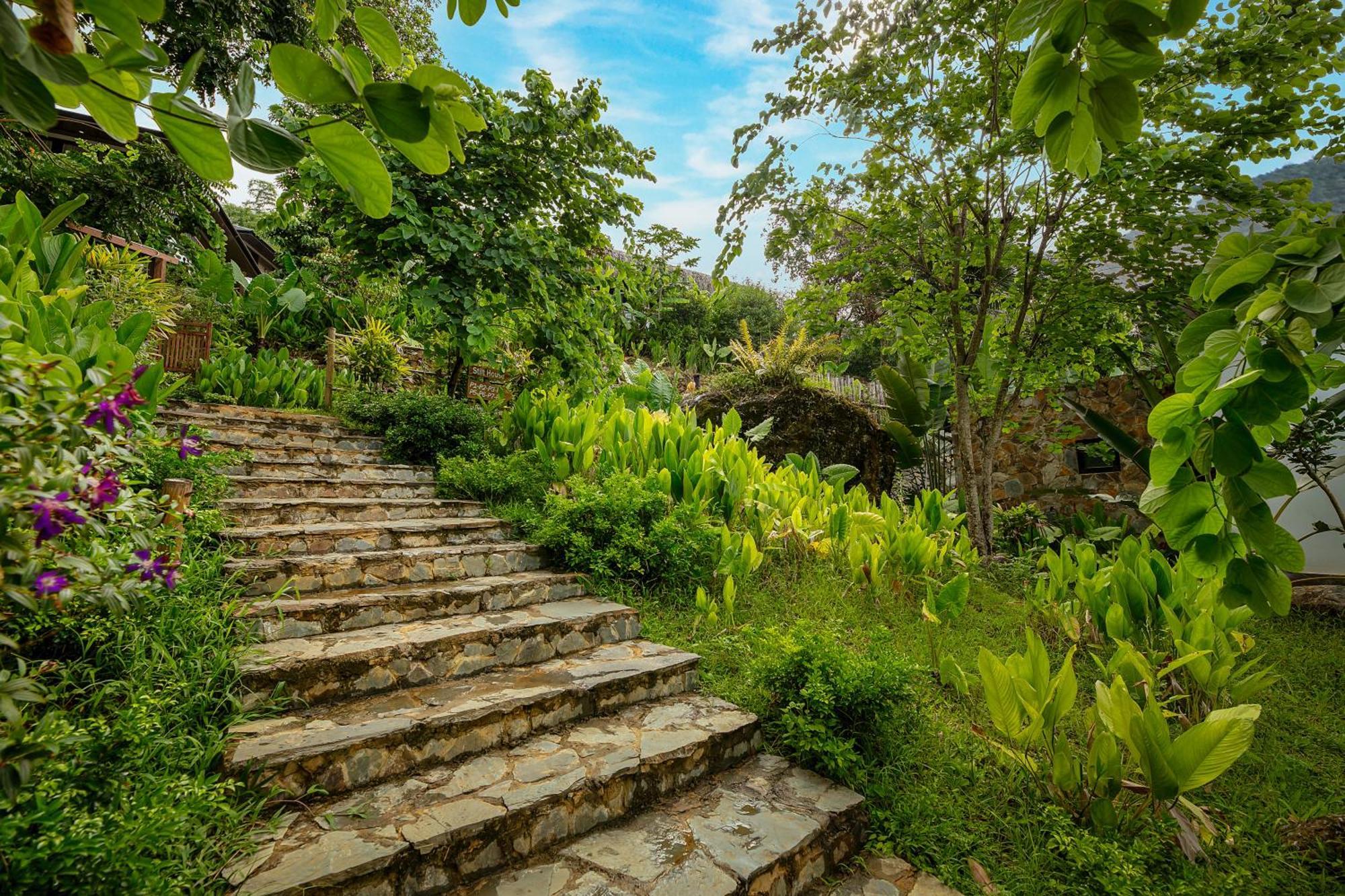 Отель Pu Luong Bocbandi Retreat Экстерьер фото